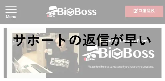 BigBoss評判 サポート返信が早い