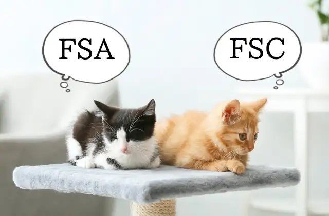 XM組織名 FSAとFSC